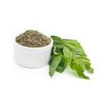 Basil