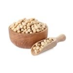 Soybean